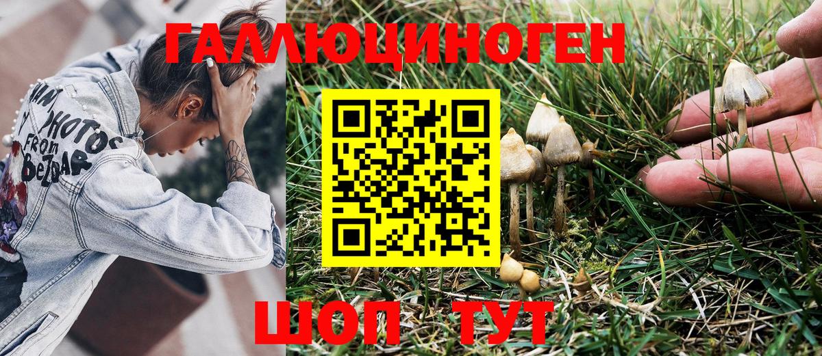 Галлюциногенные грибы Psilocybe  Псилоцибиновые грибы MAGIC MUSHROOMS  Вход с VPN  Кудрово 