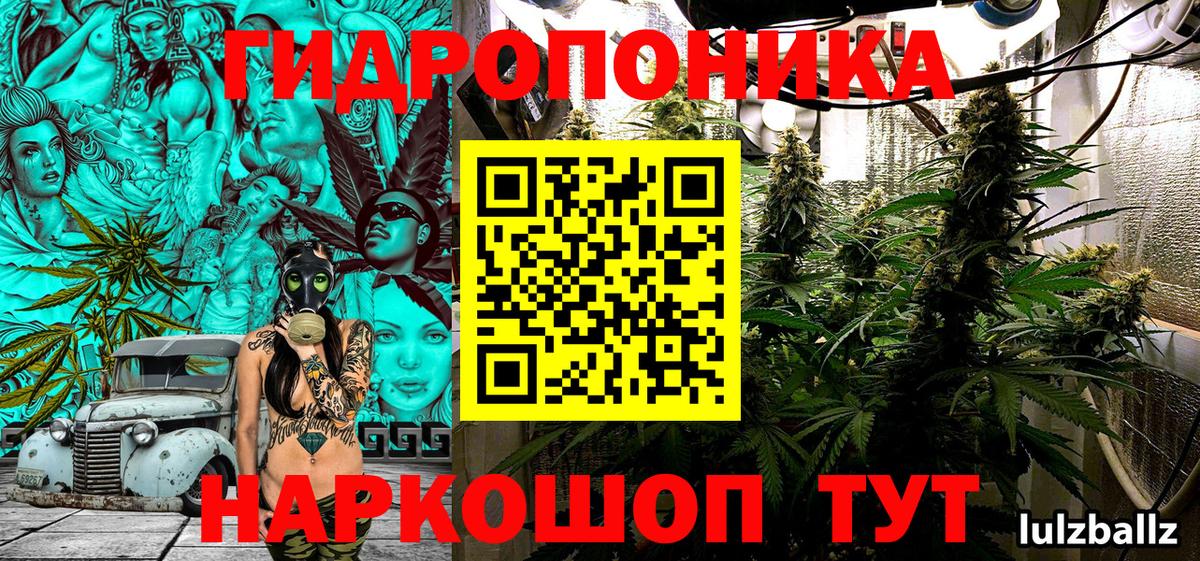 Конопля Amnesia Кудрово